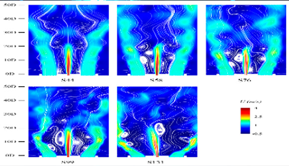 青岛国实数据服务有限公司